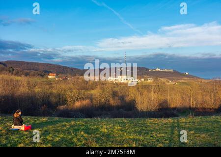 Wien, Vienna: Wienerwald (Vienna Woods) with restaurant Cobenzl, mountain Kahlenberg with antenna, mountain Leopoldsberg with church FLTR in 19. Döbli Stock Photo