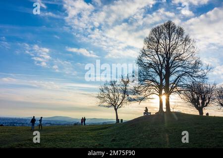 Wien, Vienna: meadow and viewpoint Bellevuewiese, leafless trees, sunset, people as silhouette in 19. Döbling, Wien, Austria Stock Photo