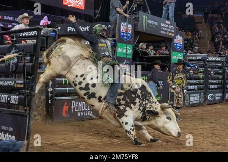 New York, New York, USA. 6th Jan, 2023. (NEW) 2023 Professional Bull Riders Unleash The Beast At The Garden. January 06, 2023, New York, New York, USA: Chase Outlaw rides The Undertaker during the Professional Bull Riders 2023 Unleash The Beast event at Madison Square Garden on January 6, 2023 in New York City. Credit: M10s/TheNews2 (Credit Image: © M10s/TheNEWS2 via ZUMA Press Wire) Stock Photo