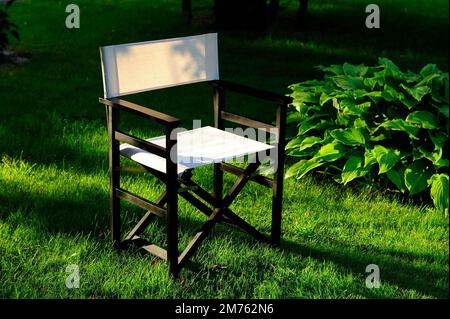 chair, furniture, director's, director's chair, position, social status, film studio, style, photo studio, clean, new, waiting, concept, business, Stock Photo