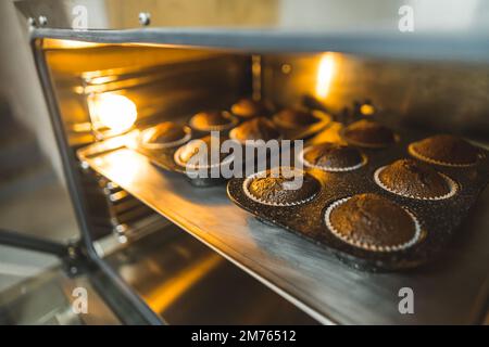Ready to eat cupcakes. Fresh out of the oven sweet chocolate muffins. Closeup shot. Copy space. High quality photo Stock Photo