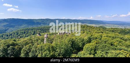 Panoramic view of bright landscape with green forest trees and big rocky boulders between dense woods in summer. Beautiful scenery of wild woodland Stock Photo