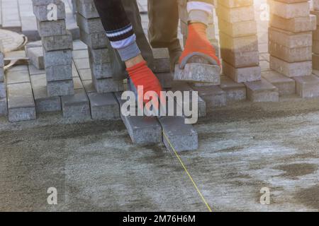 Master laying gray concrete paving brick slabs in house courtyard on sand foundation base. Stock Photo