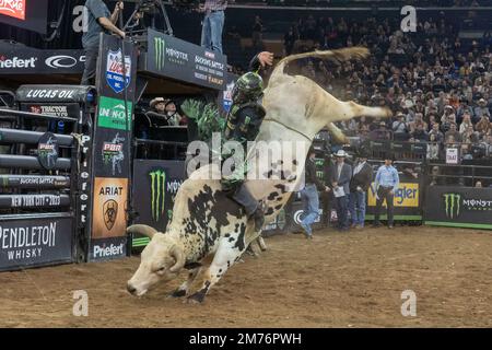 New York, United States. 06th Jan, 2023. Chase Outlaw rides The Undertaker during the Professional Bull Riders 2023 Unleash The Beast event at Madison Square Garden in New York City. Credit: SOPA Images Limited/Alamy Live News Stock Photo