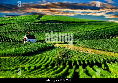 Eichbergkapelle in den Weinbergen, Tilt-Shift Stock Photo