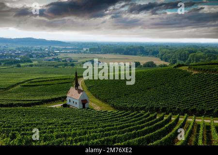 Kapelle in den Weinbergen, Eichert Kapelle, Jechtingen, Kaiserstuhl, Stock Photo