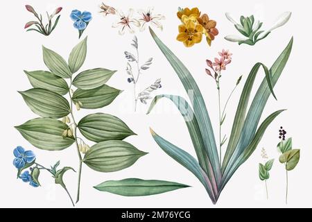Set of flowers and plant illustrations Stock Vector