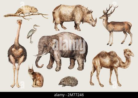 Vintage safari animals set vector Stock Vector