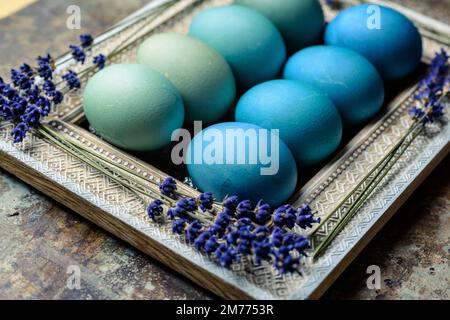Happy Easter rustic background. DIY dyed various shades of blue Easter eggs and vintage wooden picture frame with dried lavender. Stock Photo