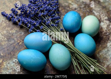 Happy Easter rustic concept. DIY dyed various shades of blue Easter eggs with dried lavender on retro rusty metal background. Stock Photo