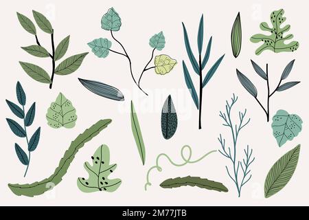 Leaf elements on a beige background vector Stock Vector