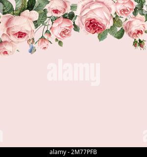 Hand drawn pink roses frame on pastel pink background vector Stock Vector