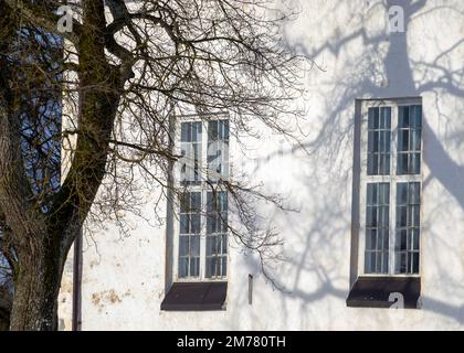 white wall with windows, shadow play from trees on the wall, sunny winter day Stock Photo