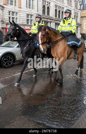 Whitehall, Westminster, London, UK. 8th Jan, 2023. Heavy rain has hit the tourist areas of Westminster with a few people out on the streets. The Metropolitan Police are patrolling on horseback in a flooded Whitehall despite the weather. Stock Photo