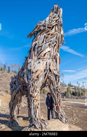 Lupa Vaia (Vaia Wolf). Wood sculpture with reclaimed wood from the Vaia storm (cyclone Adrian), by Marco Martalar Vetriolo, Levico Terme, Trento provi Stock Photo