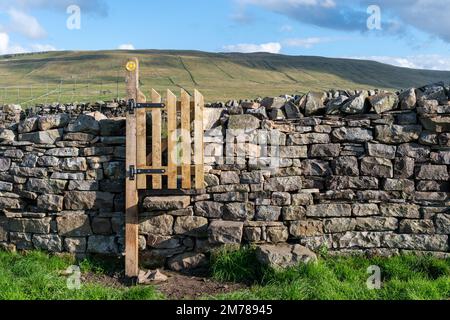 Newly built drystone wall with a handgate built in on a public footpath in Wensleydale in the Yorkshire Dales National Park, UK.