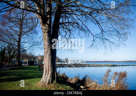 Bad Zwischenahn, Germany. 08th Jan, 2023. The excursion boat 'Ammerland' is moored in sunny weather at a jetty in the spa gardens in the Zwischenahner Meer. Credit: Hauke-Christian Dittrich/dpa/Alamy Live News Stock Photo
