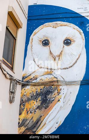 Street Art, Ivars d'Urgell, Catalonia, Spain Stock Photo