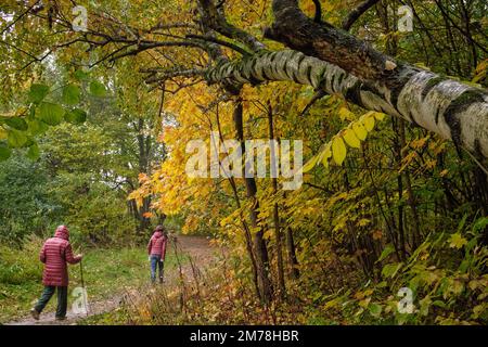 Two women walk in Bitsevski Park (Bitsa Park) on a rainy autumn day. Moscow, Russia. Stock Photo