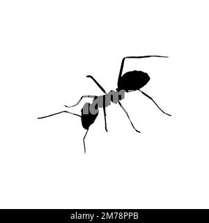 Ant icon. Simple style anti-anticide big sale poster background symbol. Ant brand logo design element. Ant t-shirt printing. Vector for sticker. Stock Vector