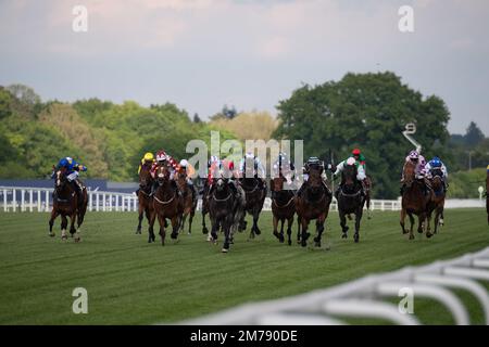Ascot, Berkshire, UK. 7th May, 2022. Horse Mister Bluebird ridden by jockey Rossa Ryan (red silks) wins the Ascot Shop Handicap Stakes at Ascot Racecourse. Owner Dawn Aldham and Wetumpka Racing. Trainer Heather Main, Wantage. Sponsor Tote. Credit: Maureen McLean/Alamy Stock Photo