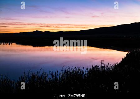 Sunset; cattails; Monte Vista National Wildlife Refuge; San Luis Valley ...