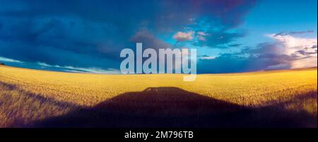 Autumn prairie landscape with long shadows of a truck, a golden farm stubble field and dark blue rain clouds in Stark County, North Dakota Stock Photo