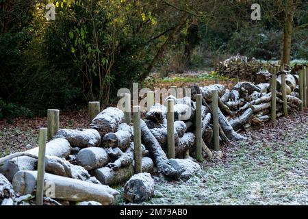 Snow covered eco-friendly 'dead wood hedge' or fence filled with branches and logs - Berkshire UK Stock Photo