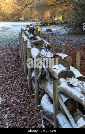 Snow covered eco-friendly 'dead wood hedge' or fence filled with branches and logs - Berkshire UK Stock Photo