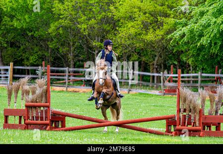 The 2017 Inchcoonans Equestrian Premier Competition Yard & Livery Facility near Errol, a small historical village in Perth & Kinross, Scotland Stock Photo