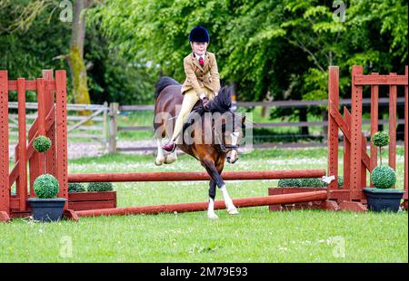 The 2017 Inchcoonans Equestrian Premier Competition Yard & Livery Facility near Errol, a small historical village in Perth & Kinross, Scotland Stock Photo