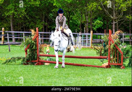 The 2017 Inchcoonans Equestrian Premier Competition Yard & Livery Facility near Errol, a small historical village in Perth & Kinross, Scotland Stock Photo