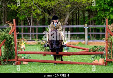 The 2017 Inchcoonans Equestrian Premier Competition Yard & Livery Facility near Errol, a small historical village in Perth & Kinross, Scotland Stock Photo