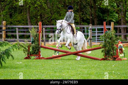 The 2017 Inchcoonans Equestrian Premier Competition Yard & Livery Facility near Errol, a small historical village in Perth & Kinross, Scotland Stock Photo