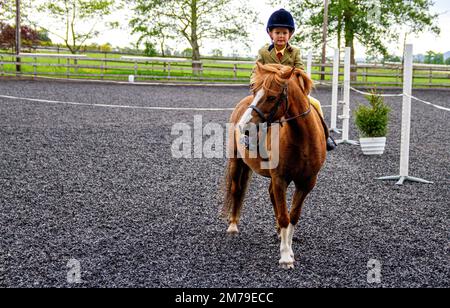 The 2017 Inchcoonans Equestrian Premier Competition Yard & Livery Facility near Errol, a small historical village in Perth & Kinross, Scotland Stock Photo