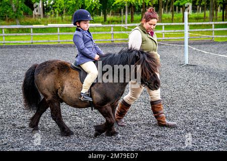 The 2017 Inchcoonans Equestrian Premier Competition Yard & Livery Facility near Errol, a small historical village in Perth & Kinross, Scotland Stock Photo