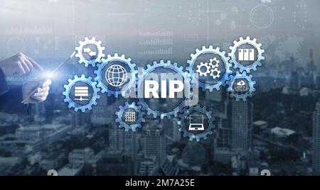 RIP. Businessman pressing virtual screen Routing Information Protocol. Technology networks concept Stock Photo