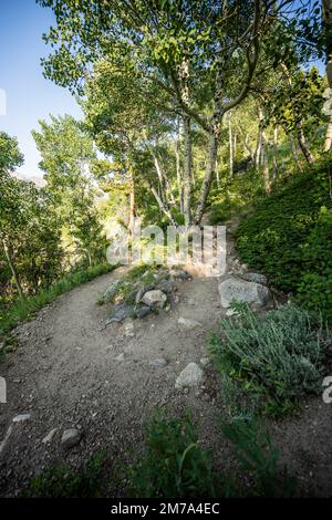 Switchback Along Trail to Bierstadt Lake in Rocky Mountain National Park Stock Photo