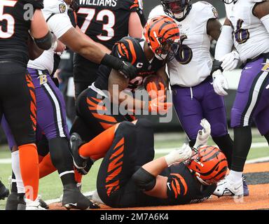 Cincinnati Bengals Halfback Joe Nixon 28 Editorial Stock Photo - Stock  Image