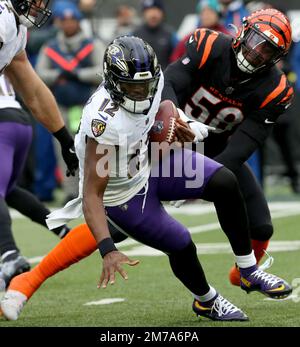 Baltimore Ravens quarterback Anthony Brown (12) runs with the ball as  Tennessee Titans linebacker Jack Gibbens (50) tries to stop him during the  second half of a preseason NFL football game, Thursday