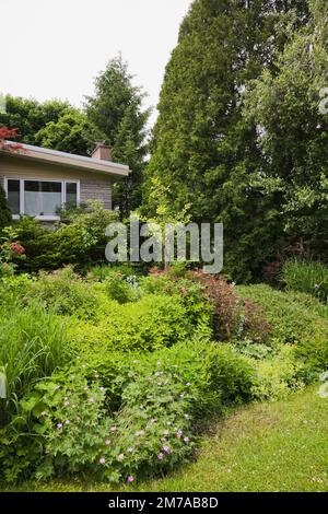 Front yard ornamental organic garden and house facade in late spring. Stock Photo