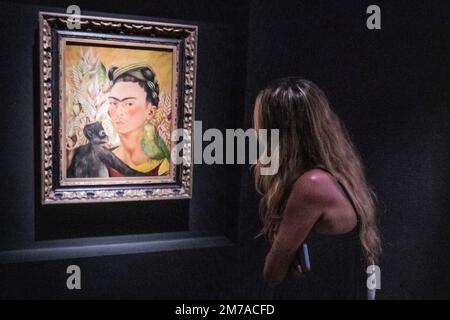Frida Kahlo: 'Autorretrato con chango y loro' (Self portrait with monkey and parrot) - (1942). Museo de Arte Latinoamericano (MALBA). Buenos Aires, Argentina Stock Photo