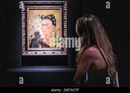 Frida Kahlo: 'Autorretrato con chango y loro' (Self portrait with monkey and parrot) - (1942). Museo de Arte Latinoamericano (MALBA). Buenos Aires, Argentina Stock Photo