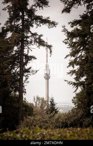 Picture of the Avala tower seen from the nearby forest. The Avala Tower is a 204.68 m tall telecommunications tower located on Mount Avala, in Belgrad Stock Photo