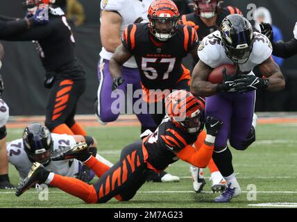 Baltimore Ravens running back Gus Edwards works out during the team's NFL  football training camp, Thursday, July 27, 2023, in Owings Mills, Md. (AP  Photo/Julio Cortez Stock Photo - Alamy