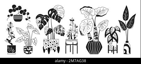 House potted plant, trendy doodle linear set. Exotic houseplants flowerpot for interior. Botanical house indoor blooming plants in pot, flower, potted ceramic. Urban jungle decor flat glyph vector Stock Vector