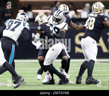 Carolina Panthers linebacker Frankie Luvu runs a drill during