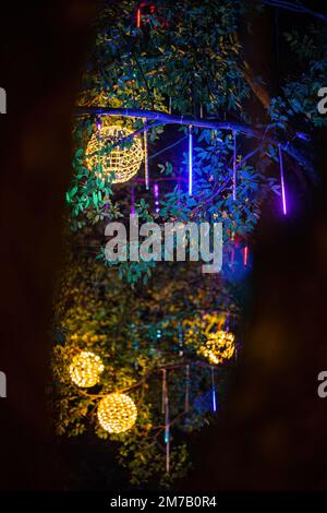 Led lights on the trees in the garden. Neon fairy party. Stock Photo