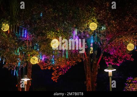 Led lights on the trees in the garden. Neon fairy party. Stock Photo