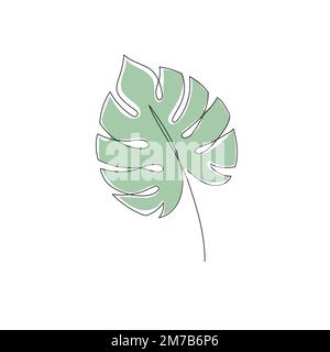 Line monstera leaf art. One continuous line art decorative monstera leaf draw. Editable stroke single tropical palm leaf element. Isolated vector illustration Stock Vector